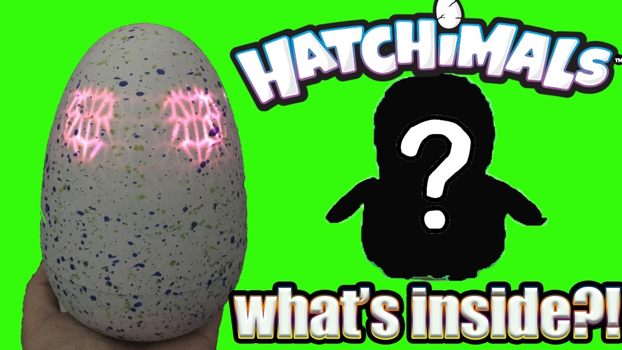 Who Will I Hatch? HATCHIMALS Unboxing What's Inside