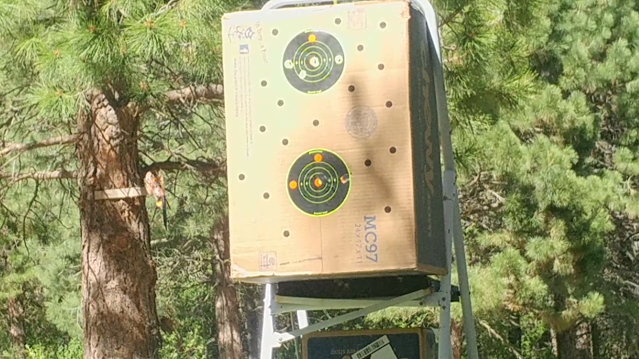 🌟Beeman underlever PCP🌟 first shots 13 & 25 yds