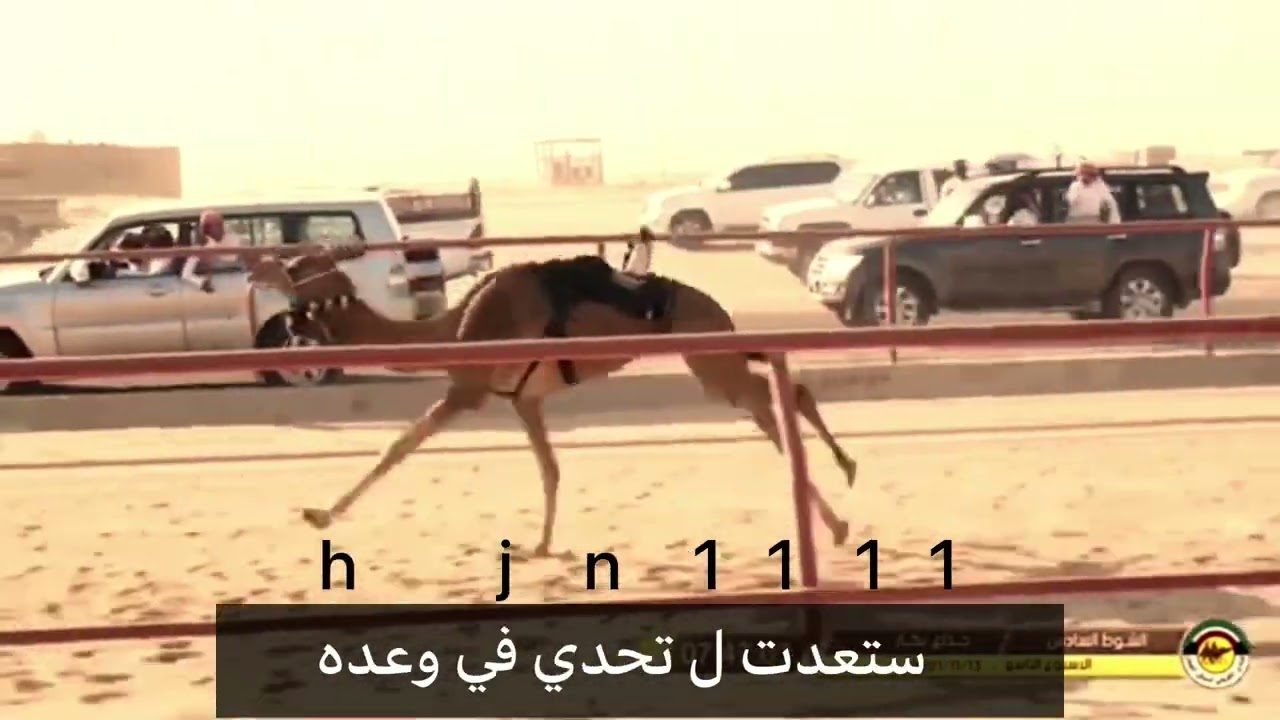 الحذره صاحبه الكاس والقادم افضل ان شاء الله🔥🔥🔥