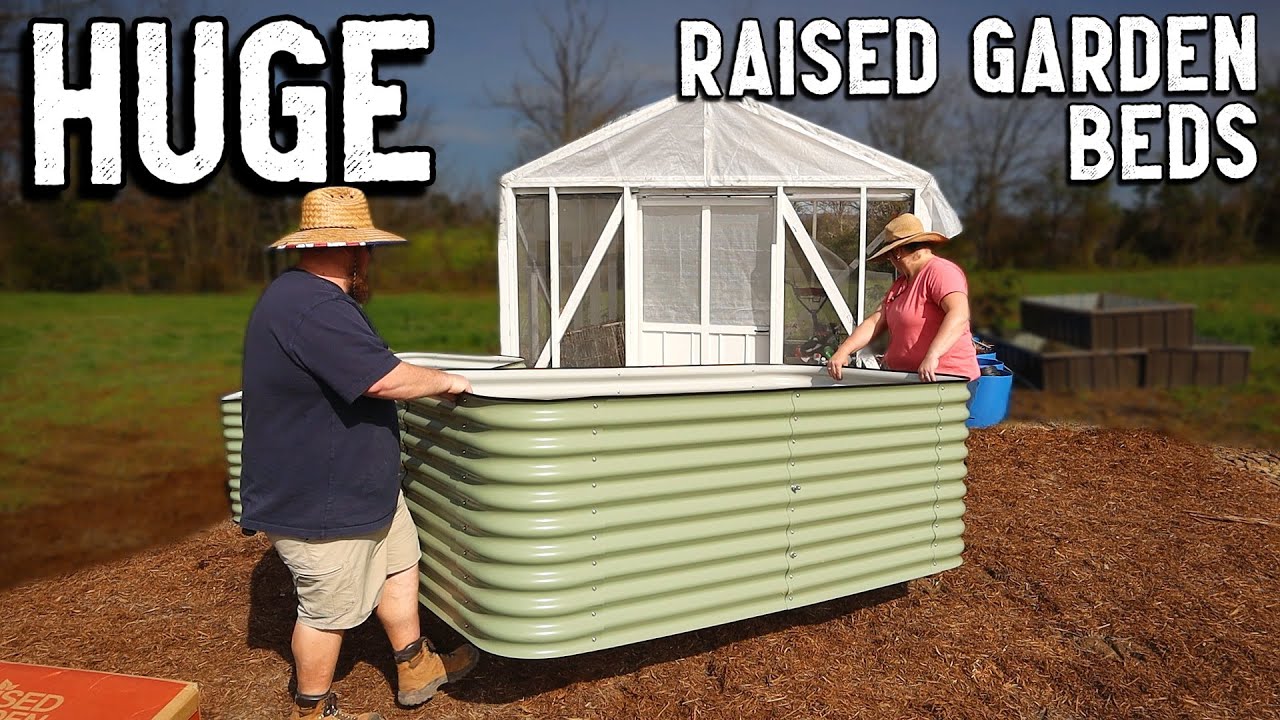 The BEST You Can Get... Birdies Raised Garden Beds