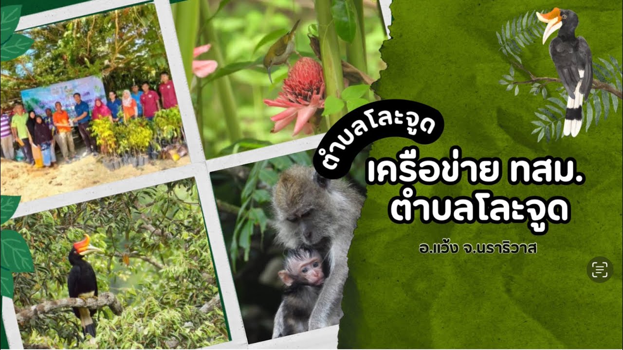 เครือข่าย ทสม.ตำบลโละจูด