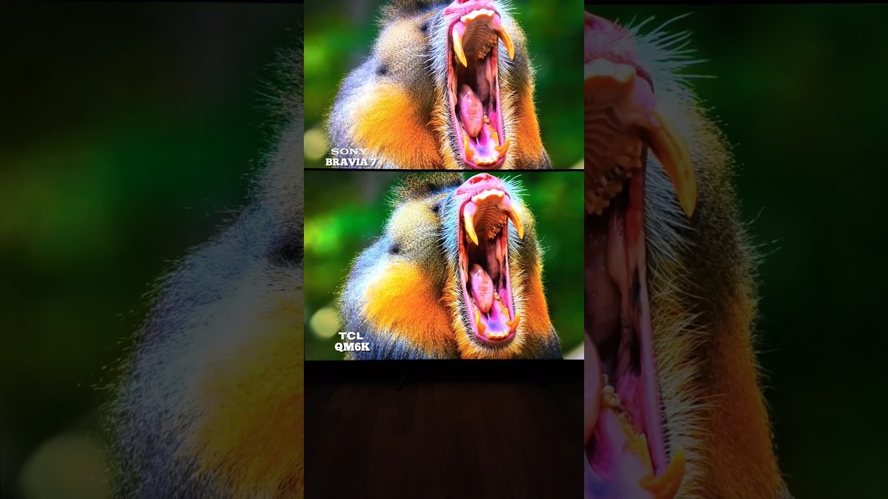 TCL QM6K VS SONY BRAVIA 7 Mini-Led Showdown! #TCLQM6K #SONYBRAVIA7 #TCLQM7K