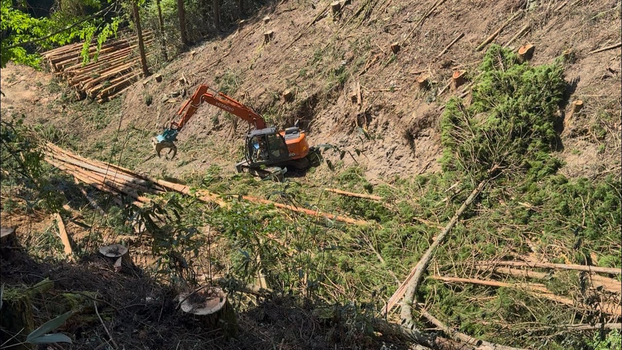 グラップルバケットでの集材#林業 #forester #forestry #japan