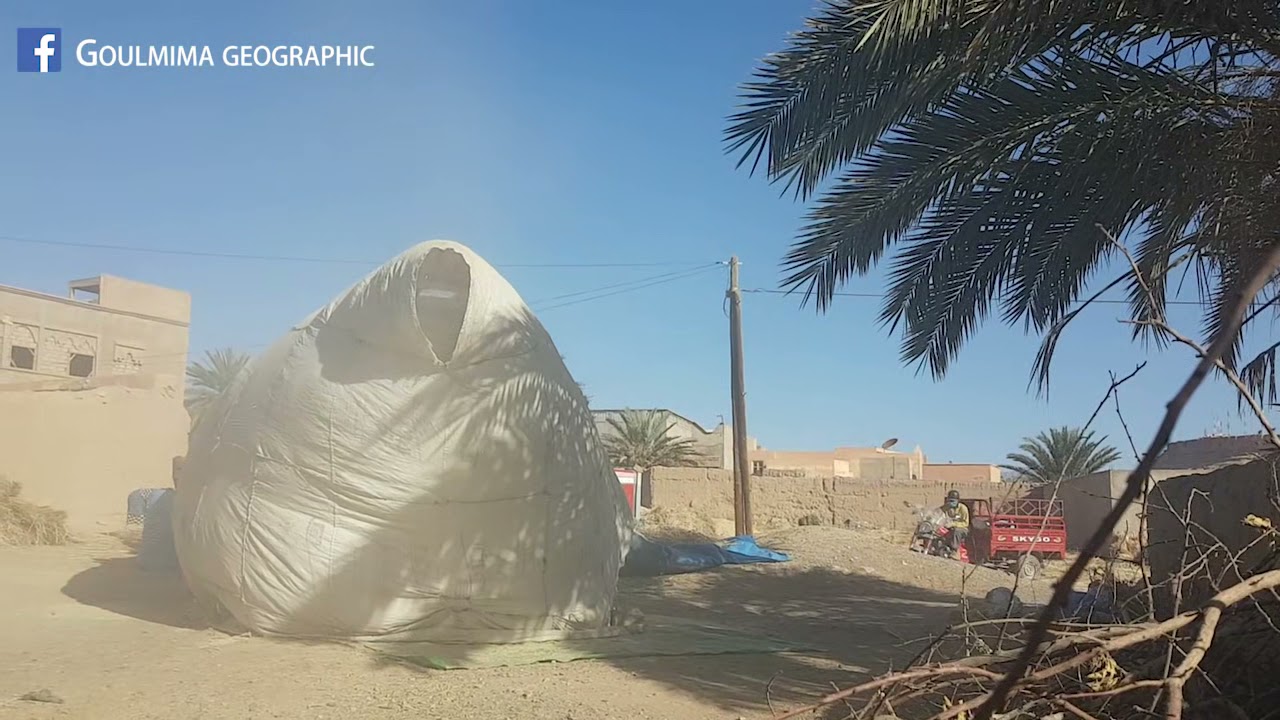 موسم الحصاد بمدينة كلميمة