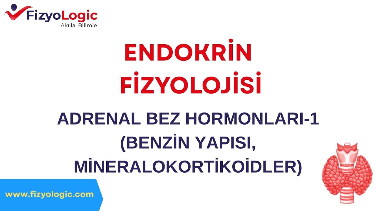 Fizyologic Endokrin Sistem Fizyolojisi/Adrenal Bez Hormonları-1(Benzin Yapısı, Mineralokortikoidler)