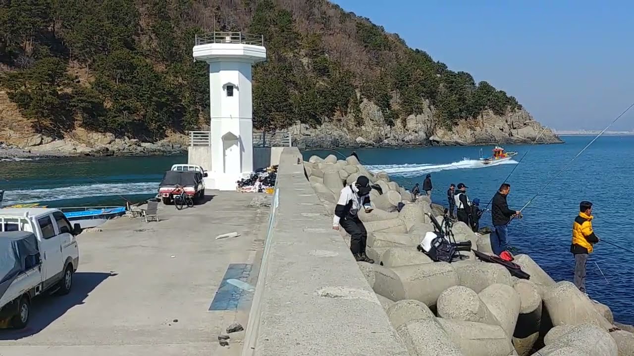 부산 가덕도 새바지 Busan Gadeokdo Daehang Saebagi Breakwater Hanghak Saury Fishing