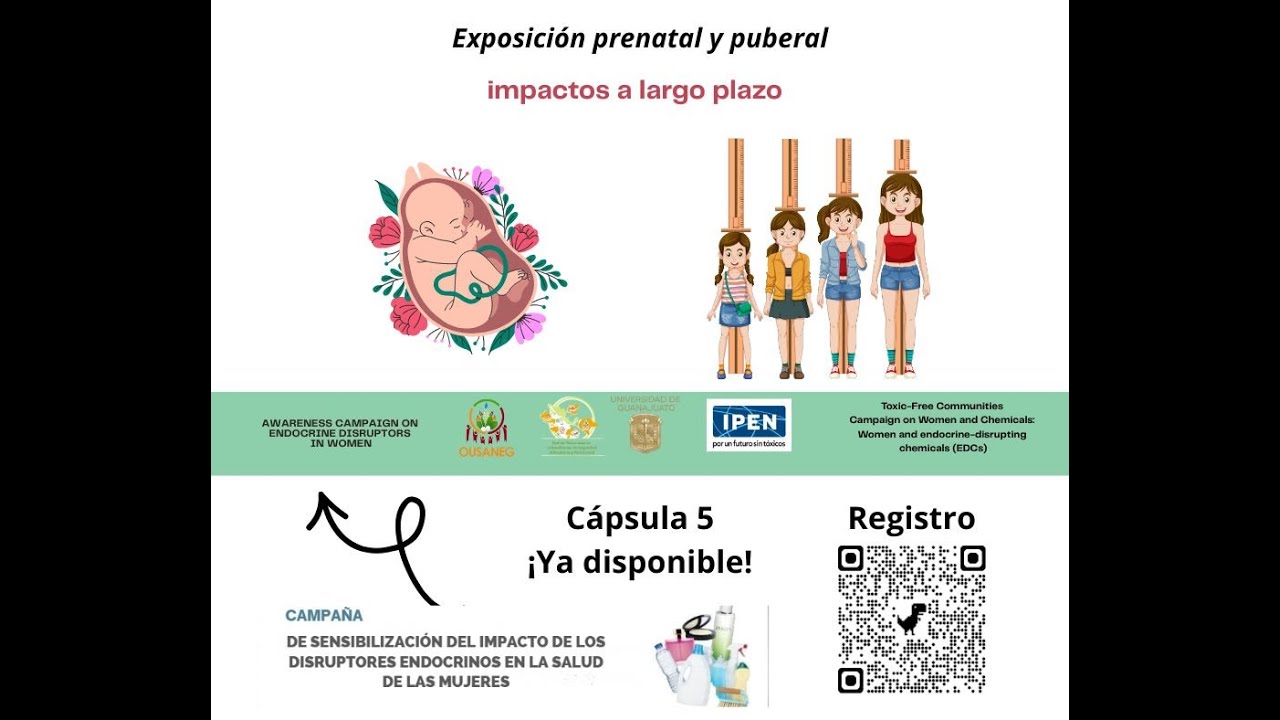 Cápsula 5. Exposición prenatal y puberal de los disruptores hormonales