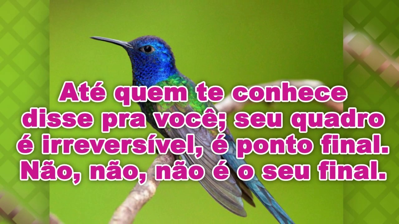 Amanda Ferrari - Decreto de Deus - Voz e Legenda