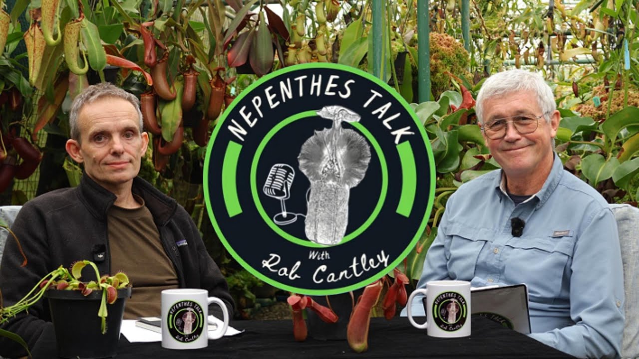 Nepenthes Talk with Rob Cantley - Episode 03 | James Haig Streeter