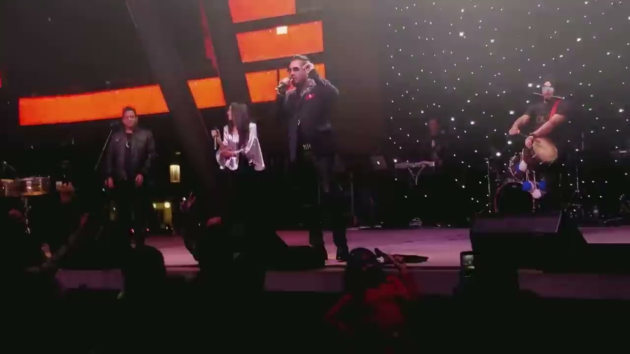 Mika Singh Live @  Canada Diwali Razzmatazz 2017 ! Part 1.