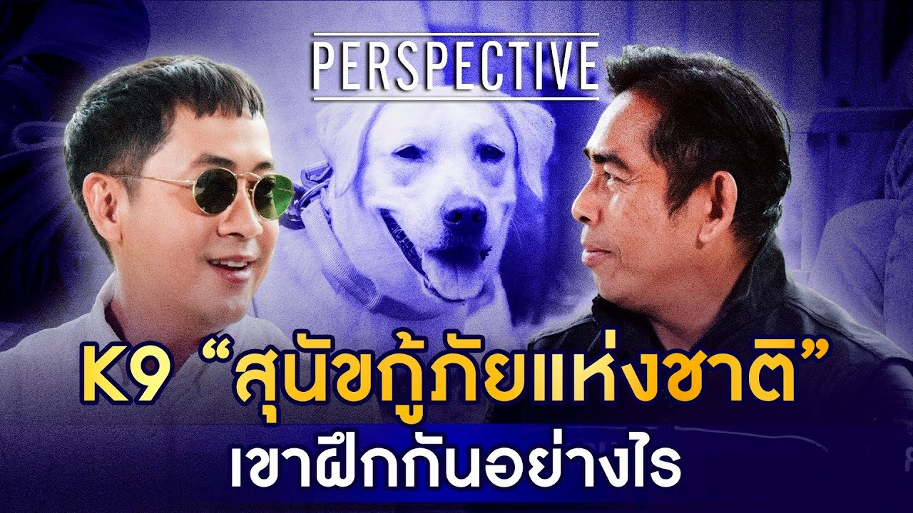 เบื้องหลัง K9 USAR Thailand สุนัขกู้ภัยแห่งชาติเขาฝึกกันอย่างไร ? I PERSPECTIVE [10 ส.ค. 68]