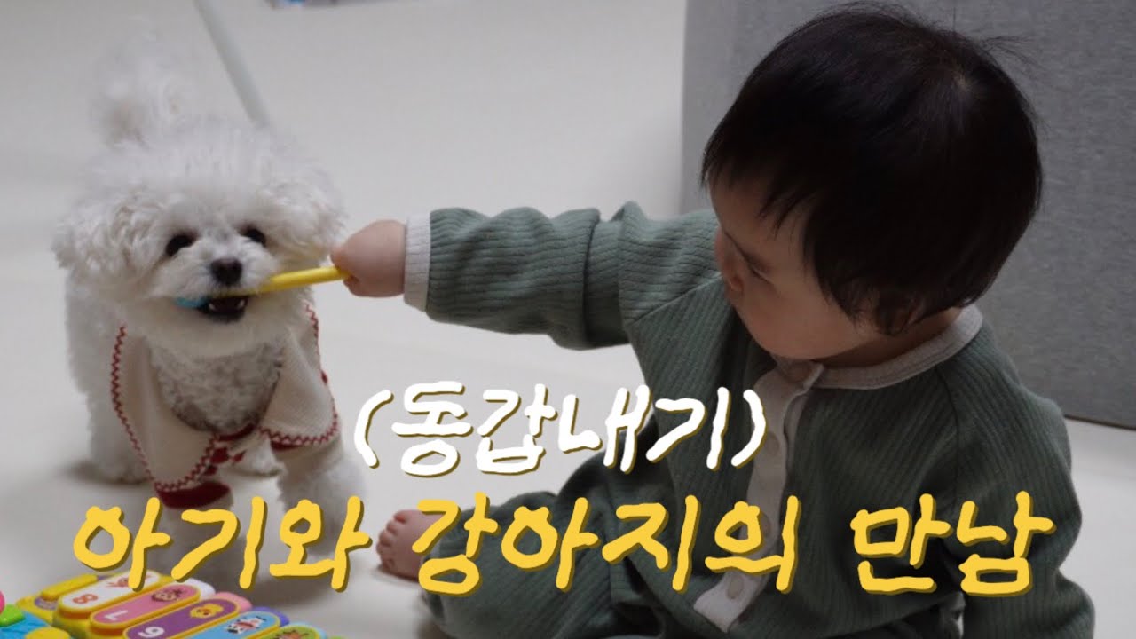 견생 1년만에 처음으로 사람친구가 생겼다