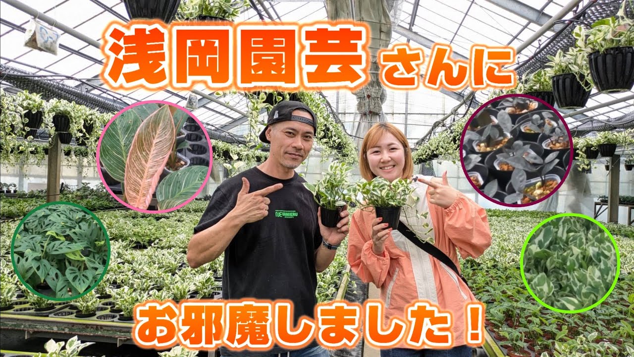【生産者さん大公開】浅岡園芸さんにお邪魔しました！