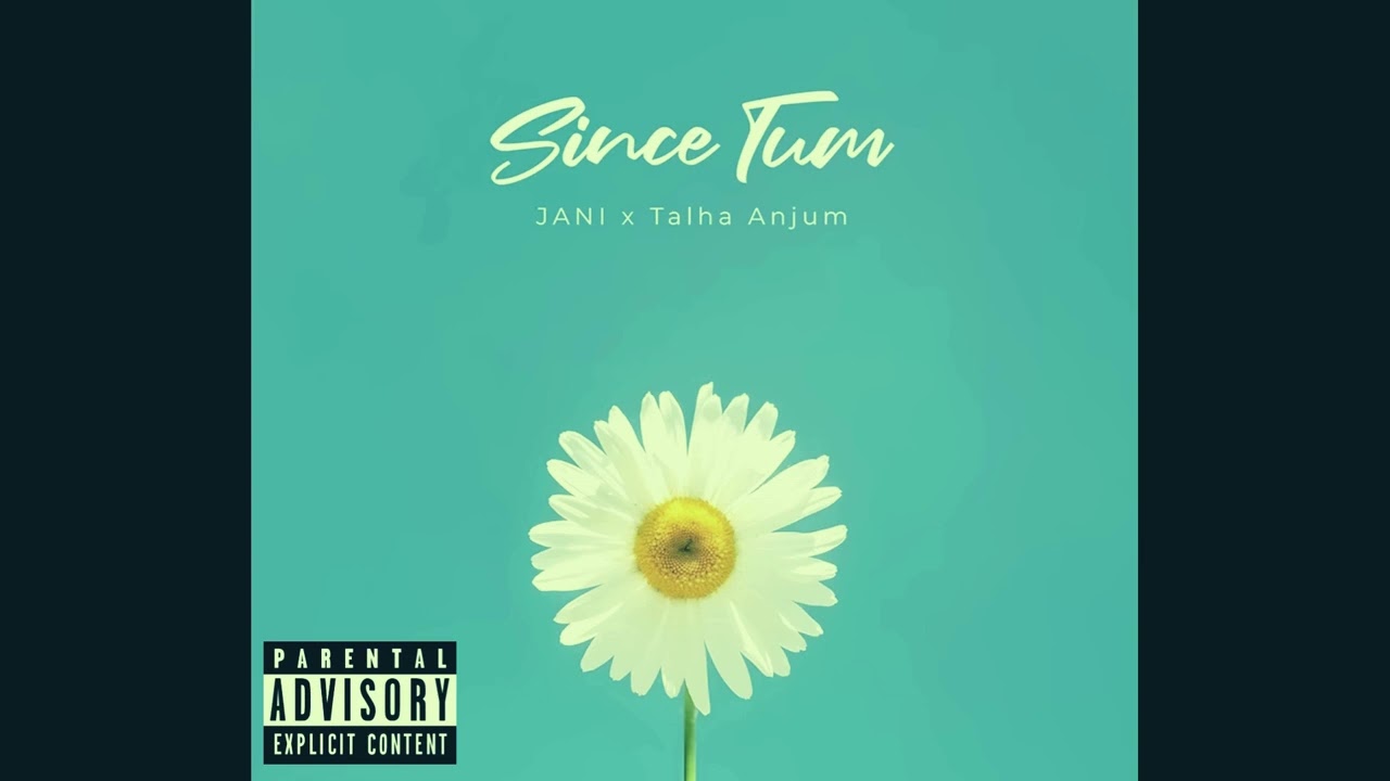 [SOLD] Talha Anjum X JANI Type Beat - 