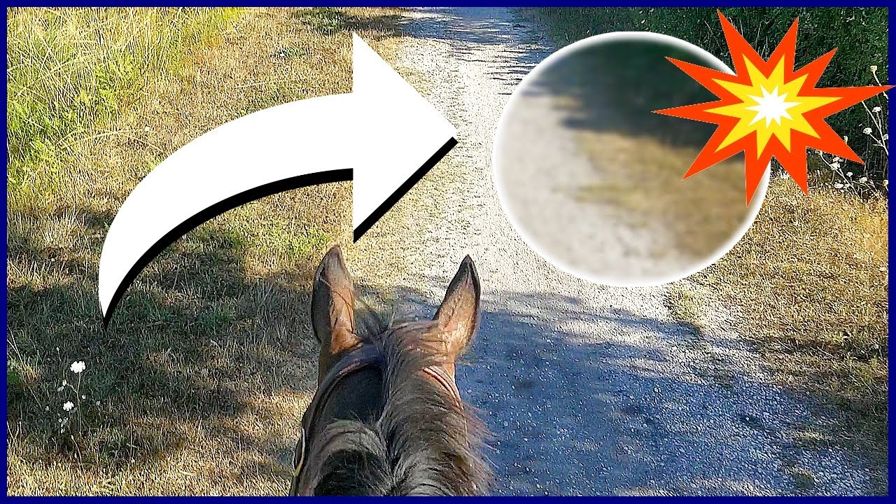 JE TOMBE EN BALADE 💥 - Pour la pire raison du monde !!