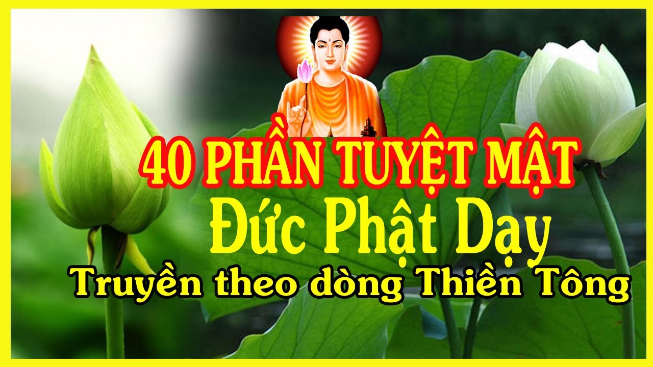 40 phần TUYỆT MẬT đức Phật dạy truyền theo dòng Thiền Tông | Nghe để giác ngộ