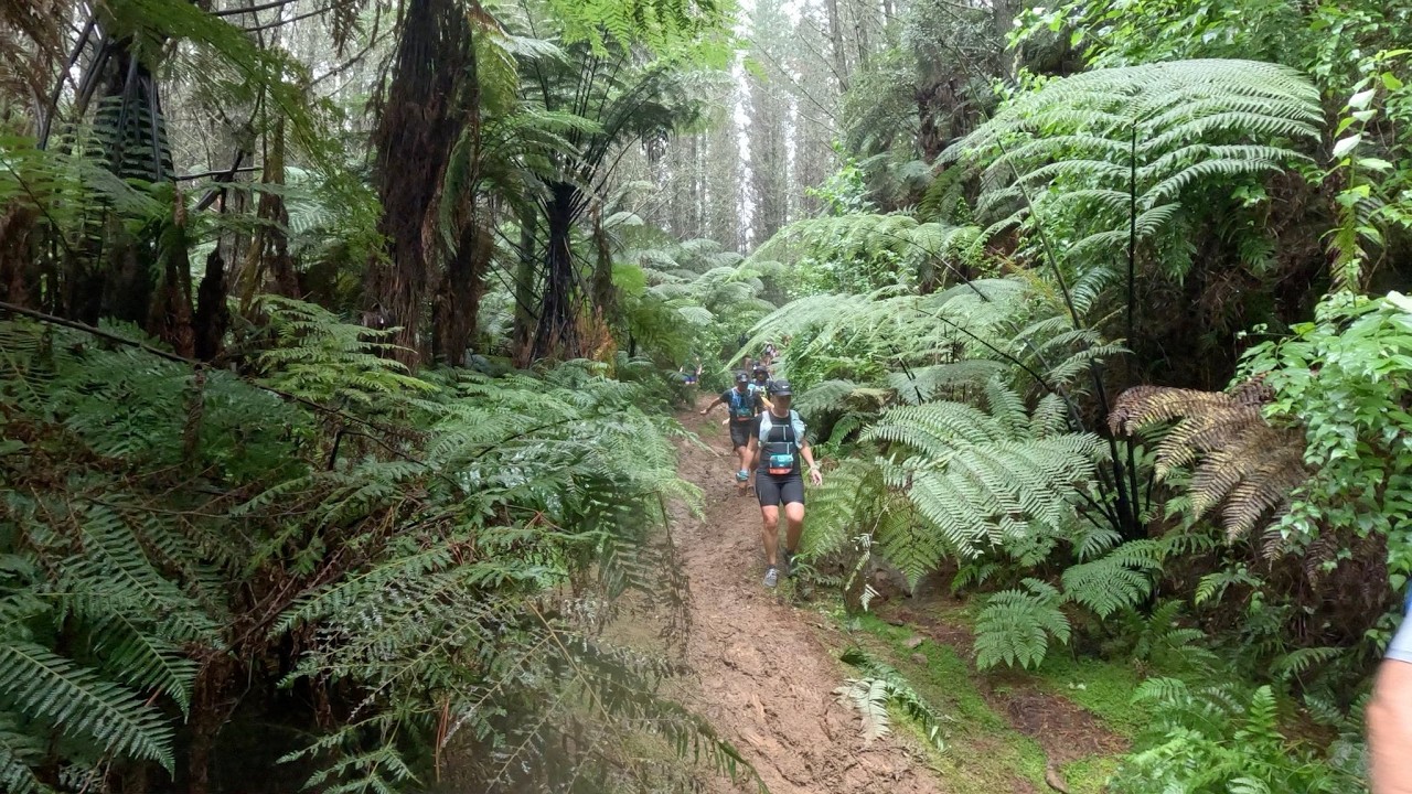 Tarawera Ultra-Trail NZ by UTMB 2026 - 50K