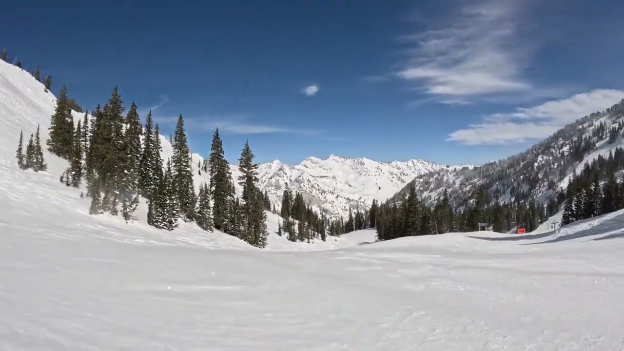 Snowbird Ski Resort Great Scott