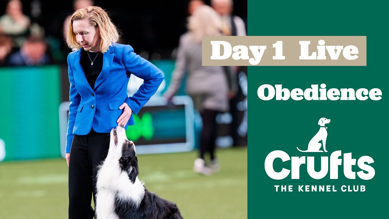 Obedience Day 1 LIVE | Inter-Regional Rally Competition | Crufts 2025