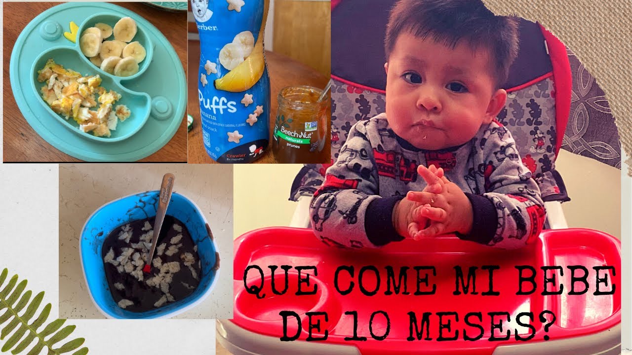 Que come mi bebé de 10 meses? 🍽