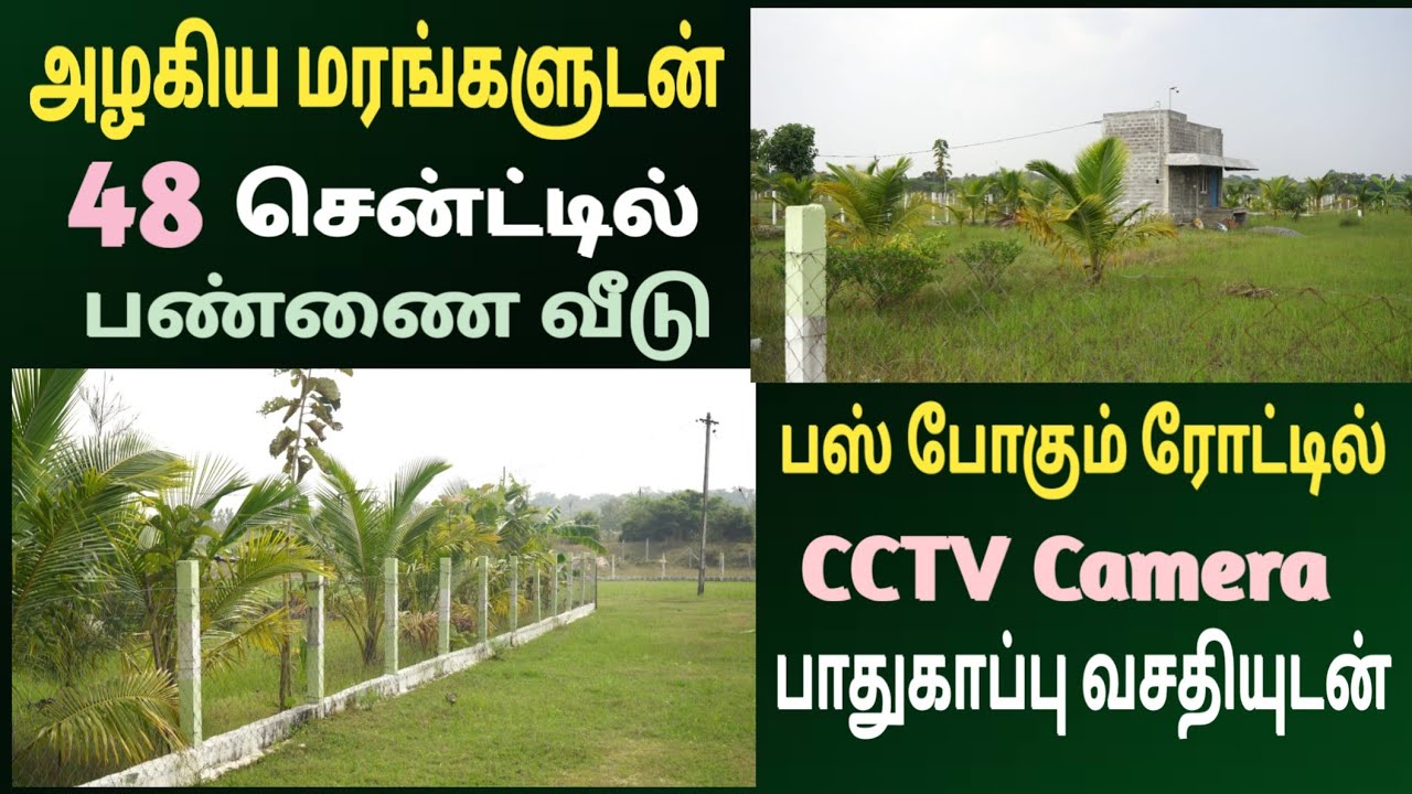 🌴🌴 அழகிய மரங்களுடன் பண்ணை வீடு குறைந்த விலையில் || Jun 12 🌴❣️ #trending #viralvideo