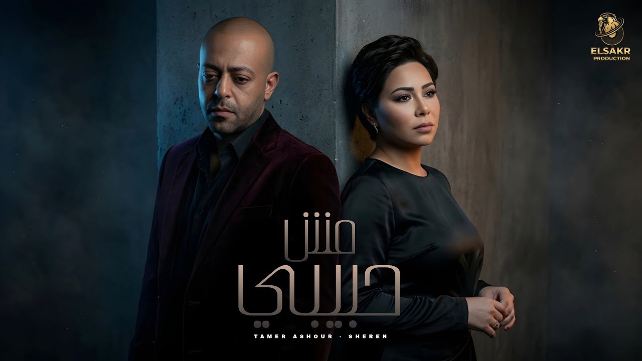 مش حبيبي ( ده حد تاني ) تامر عاشور - شيرين - Mix 
