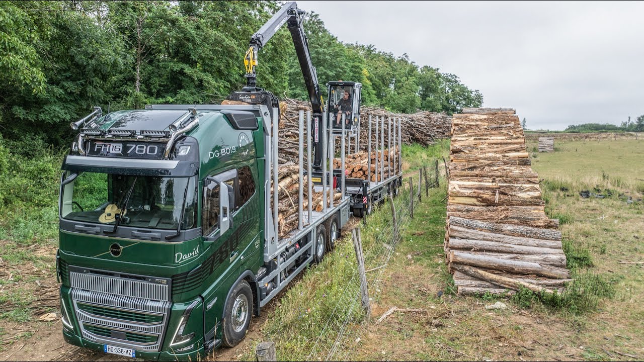 VOLVO FH16 780 🚚💨 🌲 PORTEUR + REMORQUE FRIEDERICH (TRANSPORTS DG BOIS)