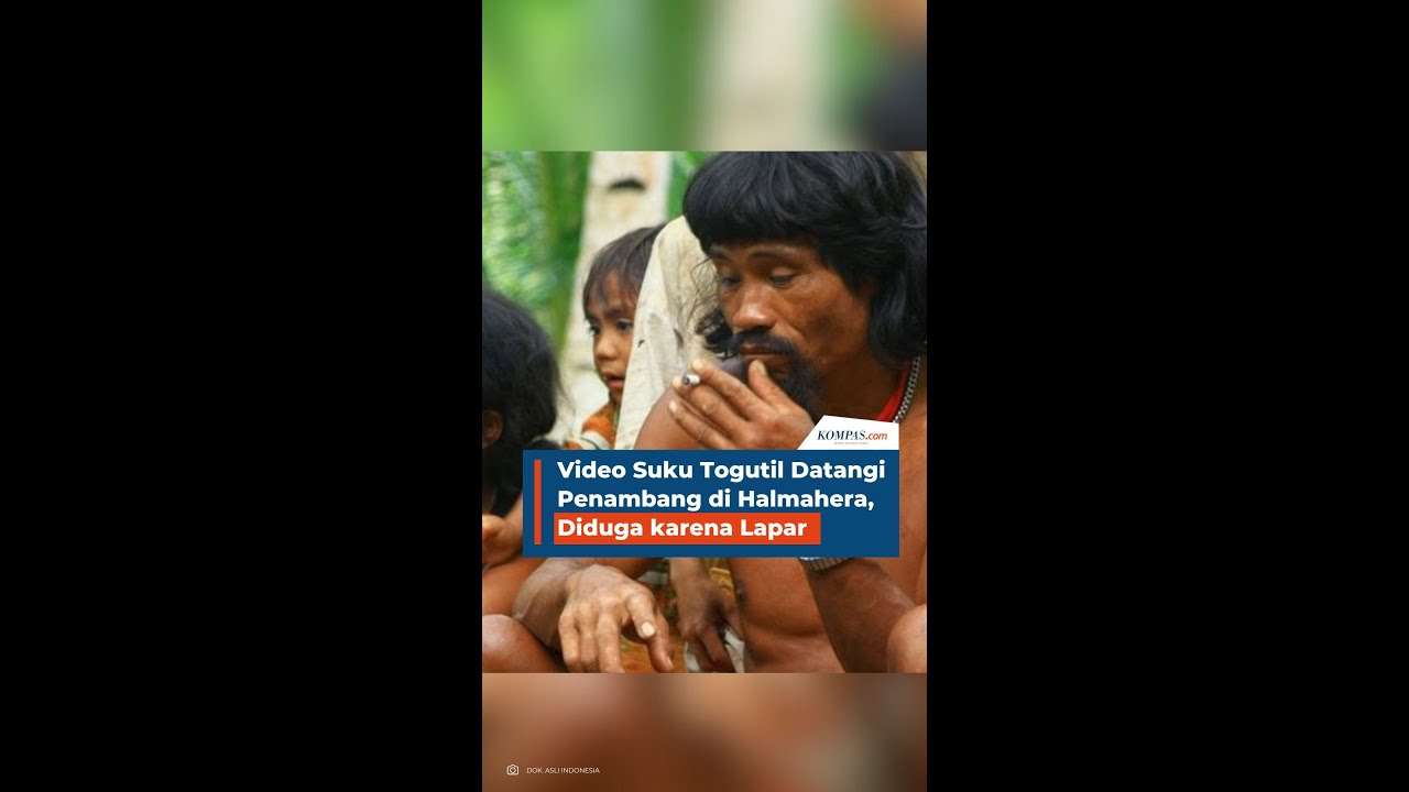 Video Suku Togutil Datangi Penambang di Halmahera, Diduga karena Lapar