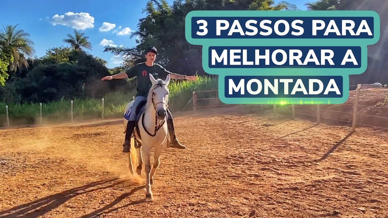 3 EXERCÍCIOS PARA MELHORAR A MONTADA