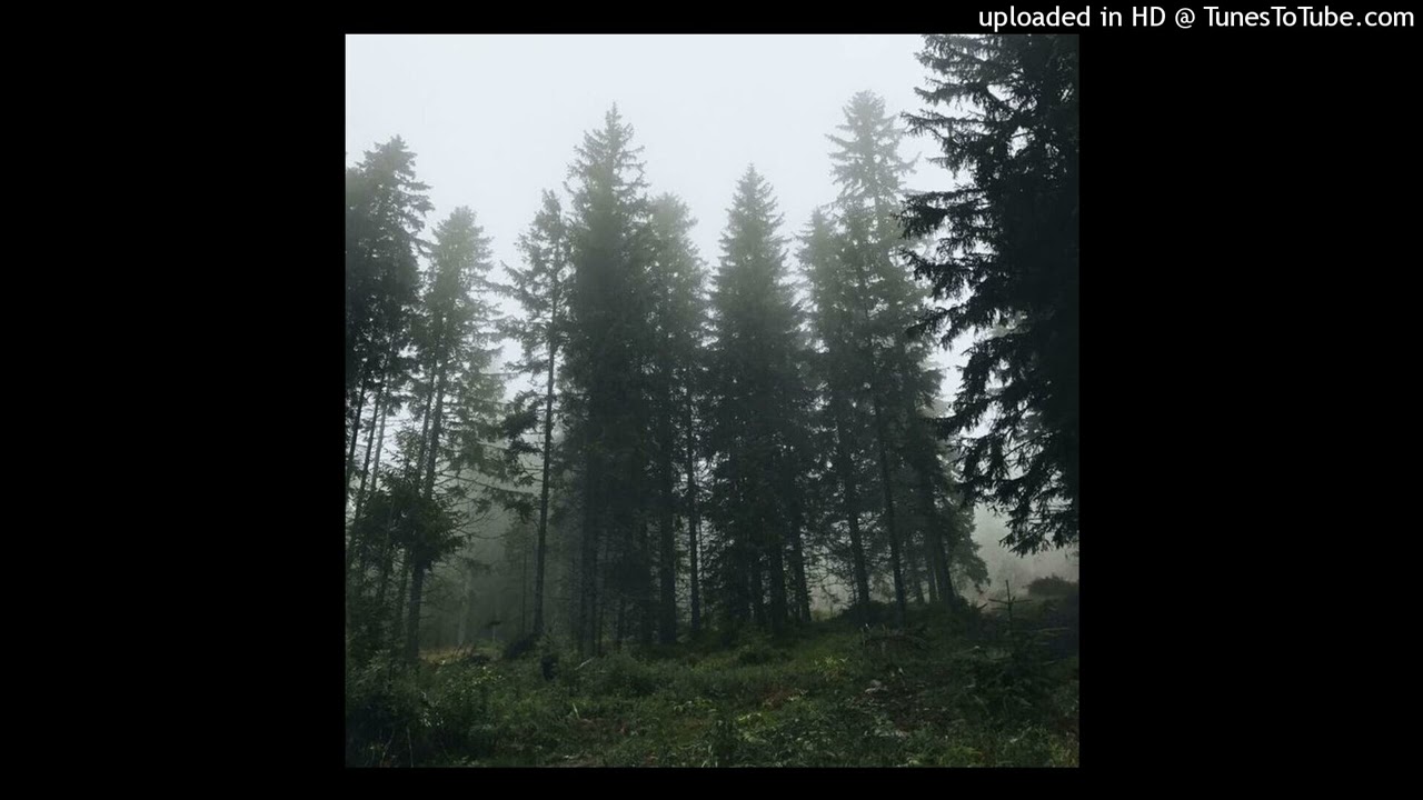marlon dubois + shed theory + meat computer + joeyy + ambient type beat(@angelravee)
