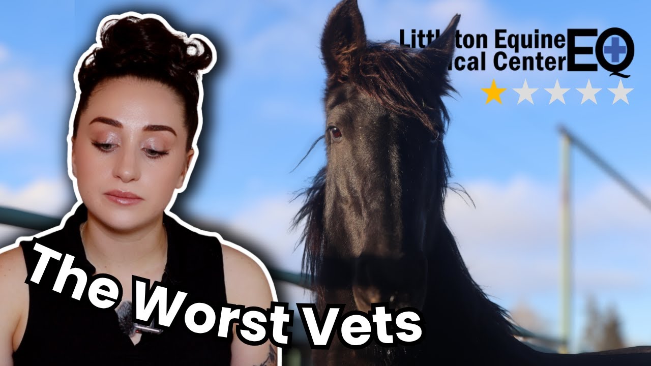 Lessons To Learn From My Horse’s Death