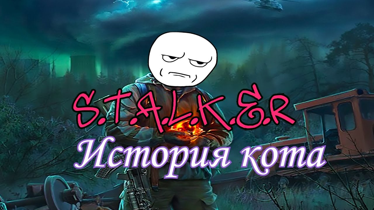 Сталкер История Кота