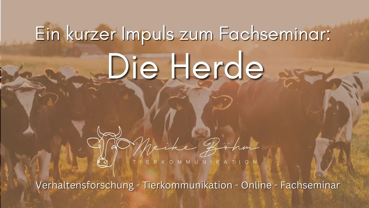Kurzer Impuls über das Fachseminar DIE HERDE