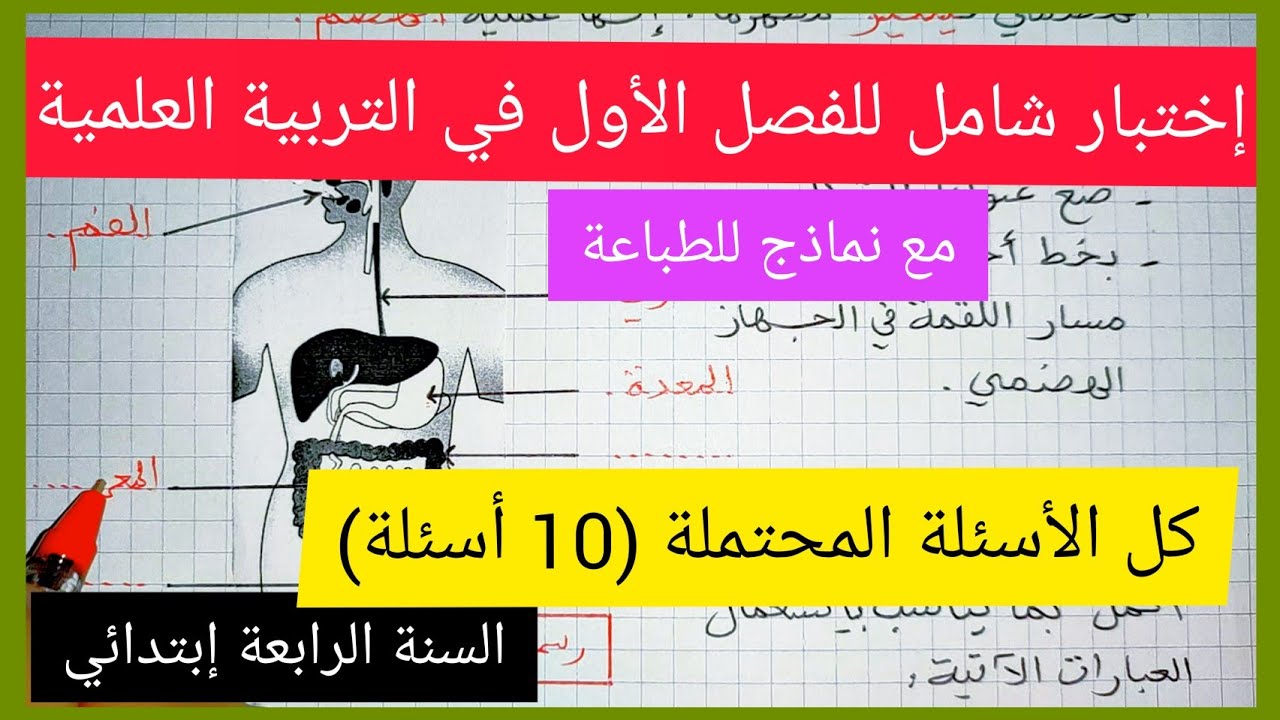 كل الأسئلة المحتملة - إختبار الفصل الأول في التربية العلمية السنة الرابعة إبتدائي