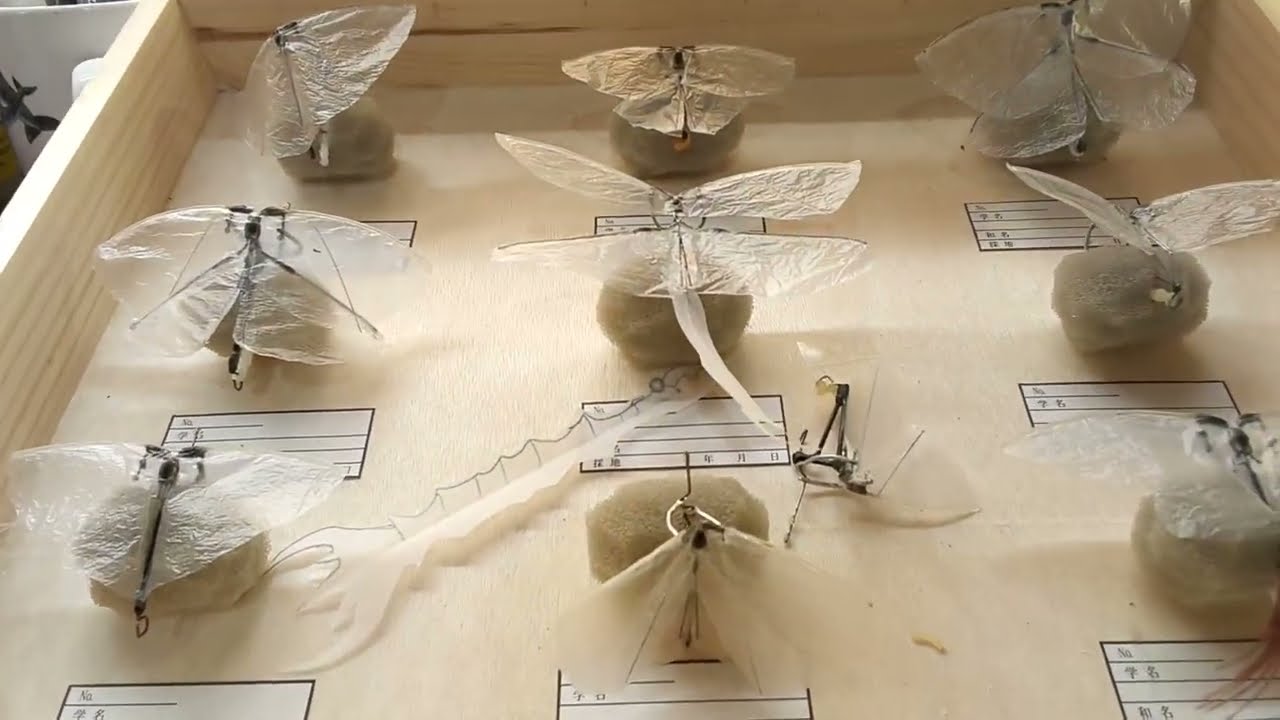 小型　Ornithopter　昆虫型　羽ばたき飛行機