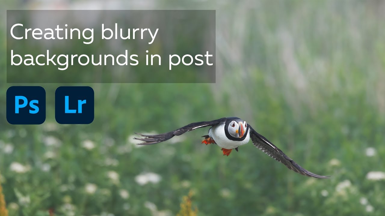 Creating blurry backgrounds in Lightroom & Photoshop