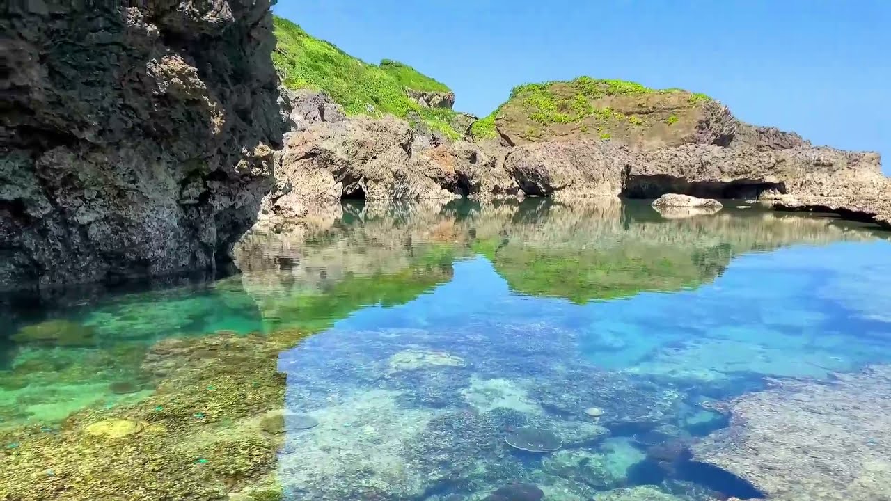 八重瀬町のタイドプールは小魚にサンゴで溢れてる