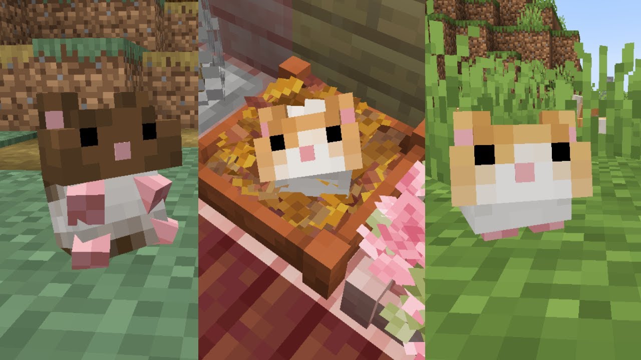 Adorable Hamster Pets, mod, Minecraft Mod (Showcase 1.20.1)