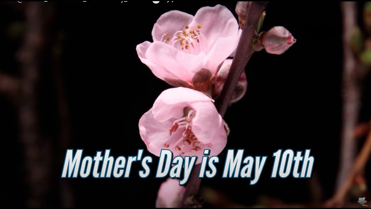 LIVE ON THE 802 @ HOME - Mother's Day Shop Local Vermont