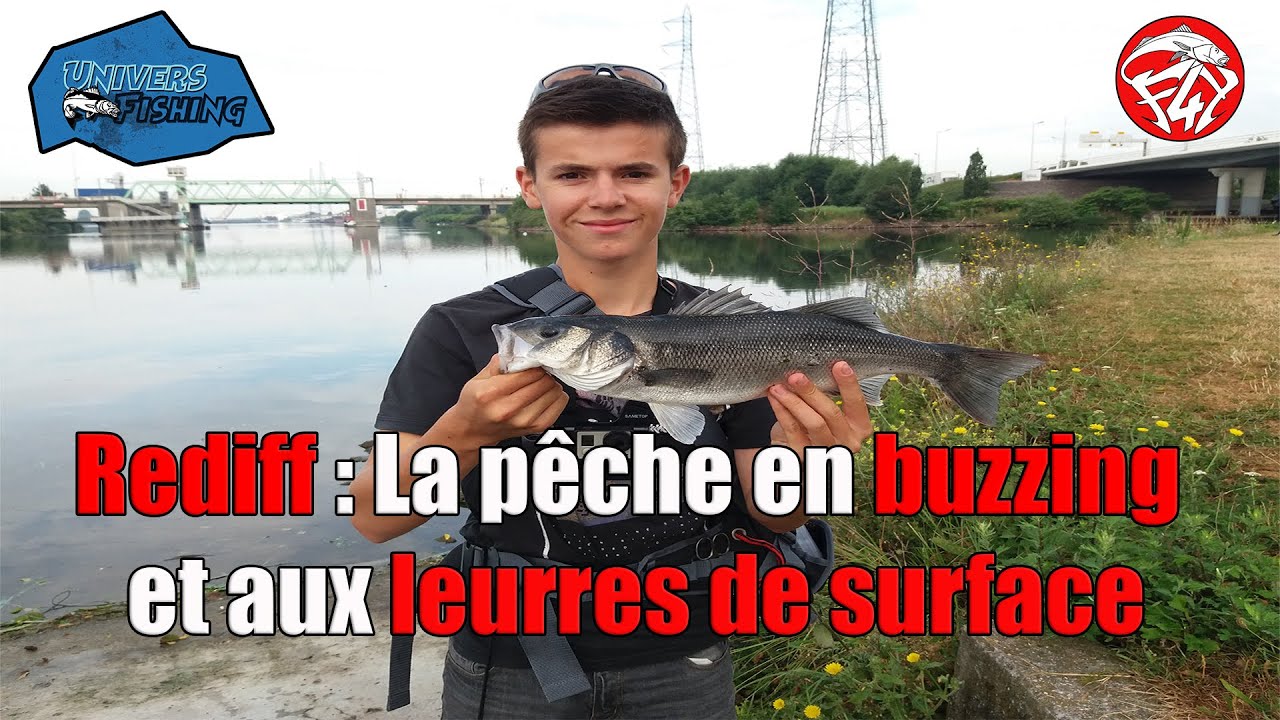 Rediff: P&Ecirc;CHE EN BUZZING ET LEURRES DE SURFACES