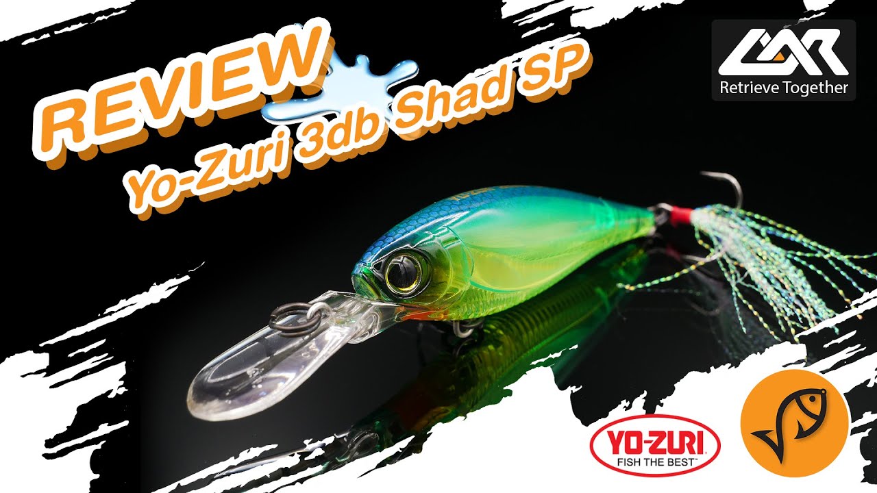 Yo-Zuri 3DB Shad sp ][  Lure Action Review Channel
