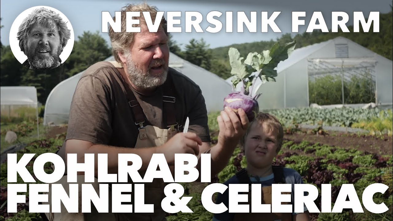 Home Garden Course - Growing Kohlrabi, Fennel & Celeriac