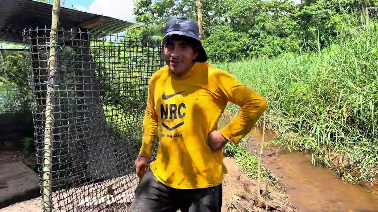 Perdimos los patos en la finca y no los encontramos | El amigo Hormiga