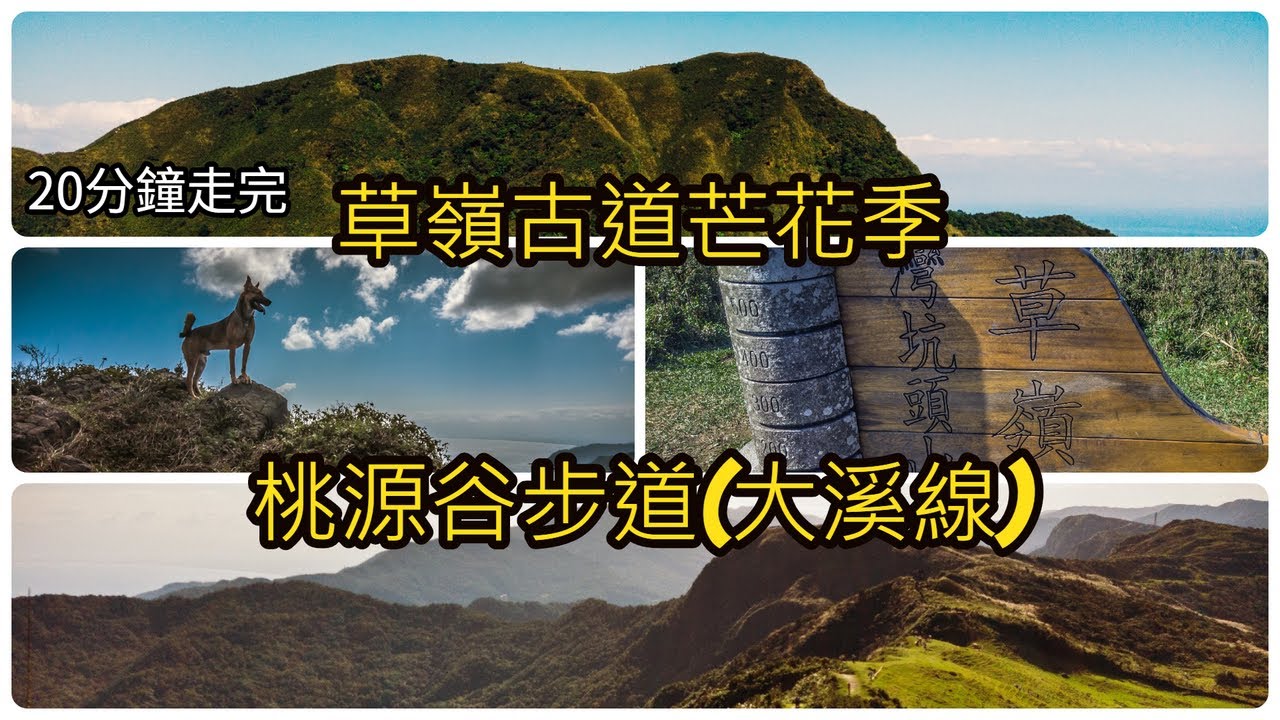 【2020新北芒花季】草嶺古道、桃源谷步道、大溪步道18公里一日單攻 | 台北貢寮登山健行打卡路線攻略 #4k #Taipei Travel