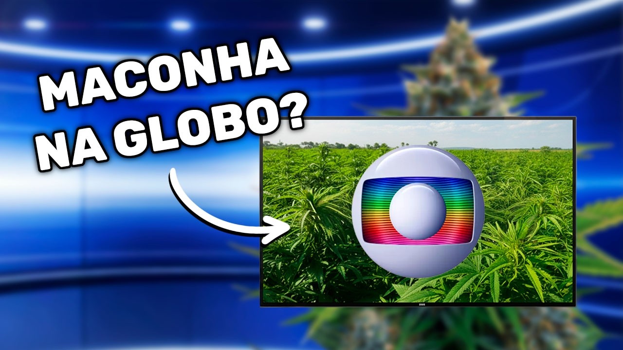 A Maconha pode Salvar o Brasil? (React Globo Rural)