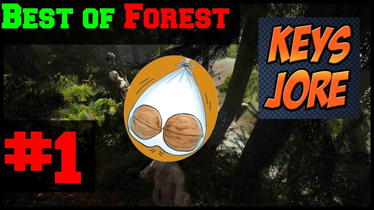 Best of KeysJore und Kreis - Forest #1 | Karottengamer
