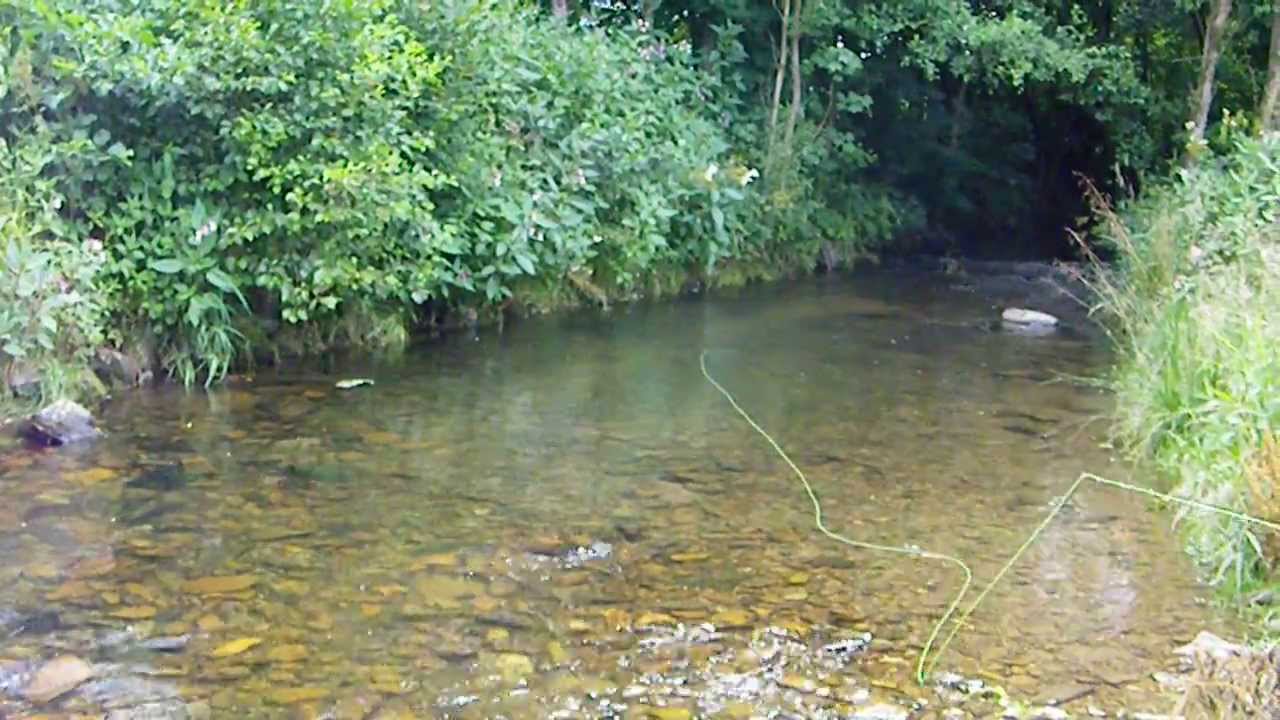 Bad Guiding in Perfektion! Bad Guides fly fishing