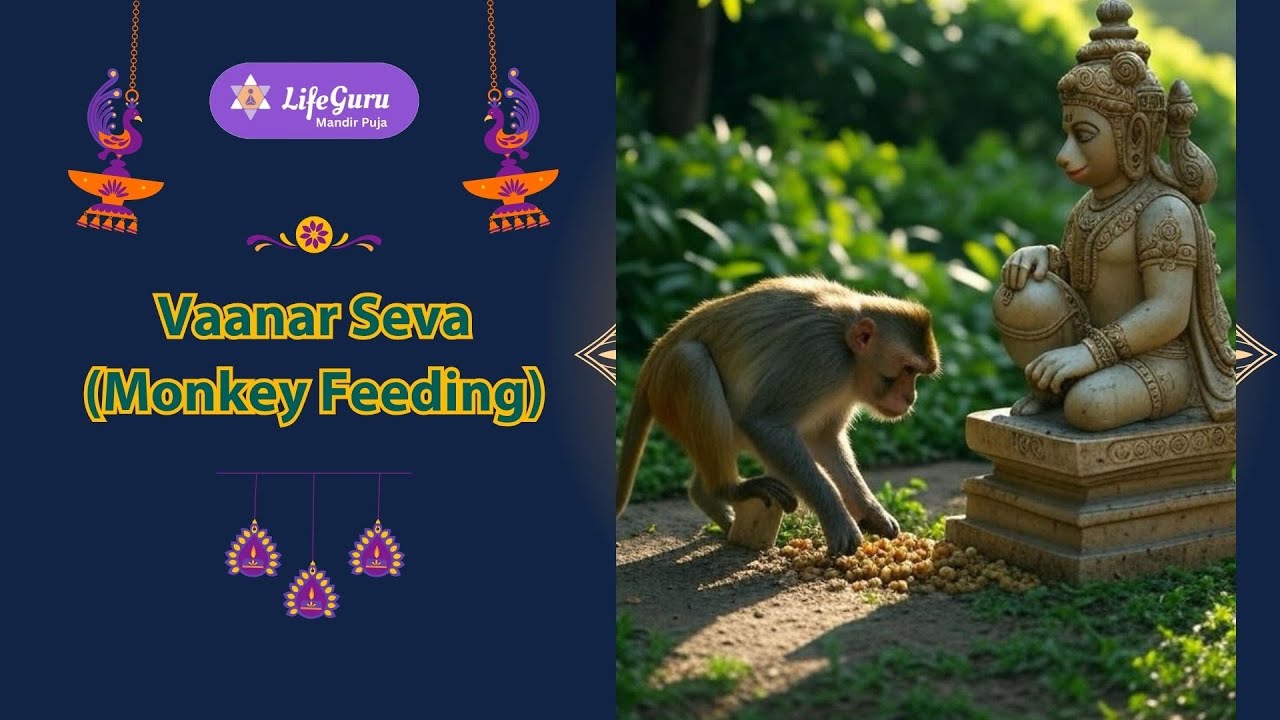 Vaanar Seva (Monkey Feeding) at Vridavan Teerth Kshetra 19/07/25