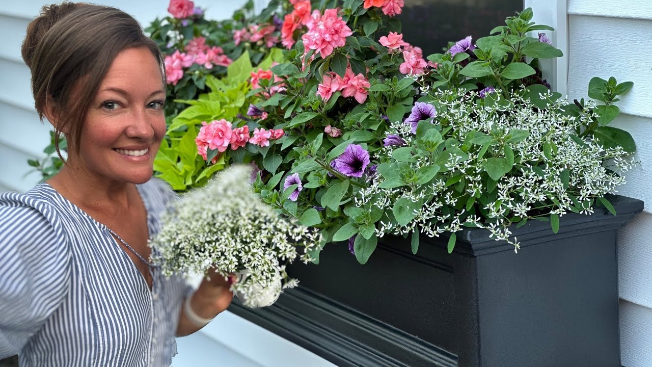 PLANTING WINDOW BOXES FOR SUMMER + ANNUAL VS PERENNIAL SHOWDOWN