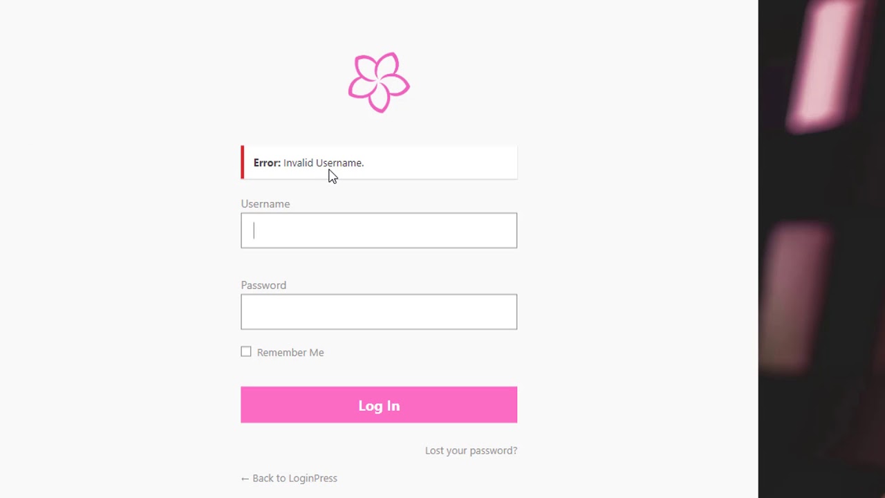 Choose username and/or email for login - LoginPress
